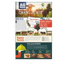 Beef Ag Mag (Spanish)